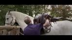 Horsehotel - Van der Valk Hotel Apeldoorn de Cantharel ... - YouTube