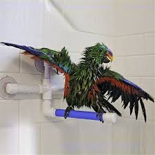 Conure Bird Bath For Cage Folding Parrot Bath Shower Standing Platform Rack Parrot Standing Shower Perch Parakeet Bird Toy Bird Toys Large Bird Cages Parrot Toys