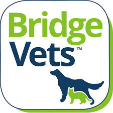 Online Payment Bridge Vets Wales