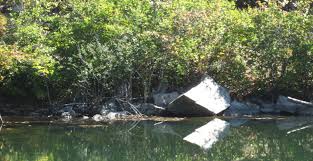 We did not find results for: Cranberry Lake Preserve Westchester Parks Trail Conference