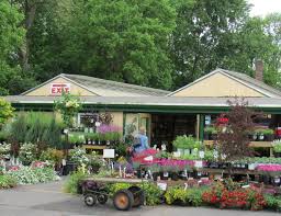 All water features can add visual appeal to your backyard, but the pond is a classic favorite. Denny Mckeown S Bloomin Garden Centre And Landscape