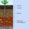 Denudation is the abrasion of present rock material by the action of ice, water or wind. 1