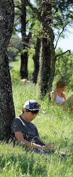 2019-2020 Annual Report