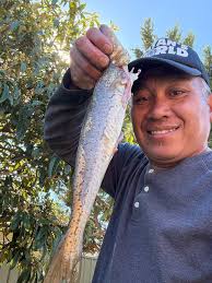 Good evening. Does anyone have fool proof directions to Ben Bay beach? I  tried