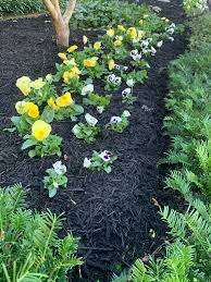 We cut small holes or long trenches in the black plastic in order to plant the things we want to grow. Painted Black Mulch Nature S Earth Products
