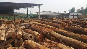 Online mapsheng kimn hong sdn. Kamwo Timber Industries Sdn Bhd Di Bandar Rawang