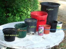 Related:5 gallon plastic pots 5 gallon plastic plant pots 5 gallon nursery pots 5 gallon fabric grow pots 3 gallon pots 5 gallon buckets 5 gallon plant pots. Native Plant Pot Size