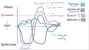 Bipolar I Disorder Coursework Example