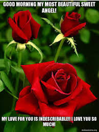 31 Good Morning My Love Meme Images Photos Picss Mine Good morning funny morning greetings quotes good morning sunshine good morning picture good morning messages morning prayers good we all love good morning images! 31 good morning my love meme images