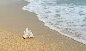 Συγκεκριμένα στην ιστοσελίδα του οαεδ www.oaed.gr θα βγουν οι προσωρινοί πίνακες δικαιούχων και παρόχων τουριστικών καταλυμάτων. Oaed Koinwnikos Toyrismos 2019 Mexri Pote Mporeite Na Kanete Aithsh Poioi Einai Oi Dikaioyxoi Newsbomb Eidhseis News