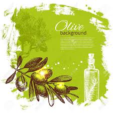 18815569 Vintage Olive Background Hand Drawn Illustration Stock Vector Olive Oil Food Jpg 1300 1300