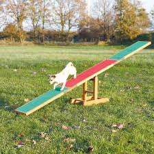 Hunde agility geräte für große hunde selber machen und bauen von hunde wippe selber bauen bild. Trixie Agility Wippe Gunstig Kaufen Zooplus