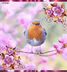 Https Encrypted Tbn0 Gstatic Com Images Q Tbn And9gctio9e4vmdicjnnkm Ue9oih43halh4kalxlg Usqp Cau