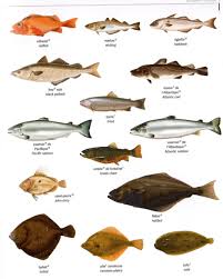 Lieu  ljø  n. Lieu Noir En Anglais