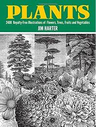 Download free illustrations in png, svg, eps, ai. Plants 2 400 Royalty Free Illustrations Of Flowers Trees Fruits And Vegetables 2400 Designs Dover Pictorial Archives Dover Pictorial Archive Series Harter Jim Amazon De Bucher