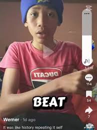 Werner and Aaron Meet