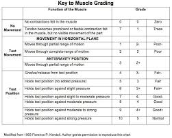 Manual Muscle Testing Range Of Motion Head And C Spine