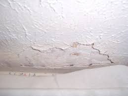 Termite Damage Signs And Control Ceiling Foundation Carpets In 2020 Termite Damage Termites Damaged