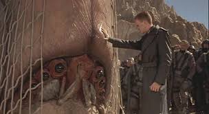 images?q=tbn:ANd9GcQb6tOflxpUmhPpj6tJDDU