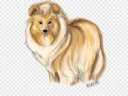 Download high quality collie clip art from our collection of 42,000,000 clip art graphics. Rough Collie Dog Breed Companion Dog Drawing Carnivoran Dog Like Mammal Png Pngegg