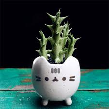 Cute Cat Planter Apollobox