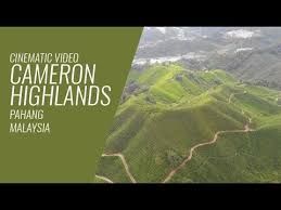 To the north, its boundary touches that of kelantan; Cameron Highlands Tanah Tinggi Cameron Pahang Malaysia Above The Clouds Youtube