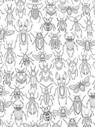 The class called insecta is formed by insects. Pin On Coloring Pages