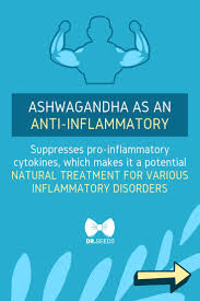 13 Ashwagandha Benefits For Your Health Thyroid Health Health Natural Health Remedies