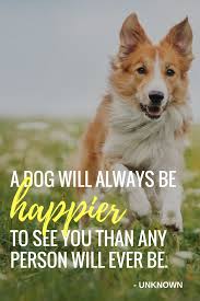 Dog Quotes Inspirational Quotes Happiness Quotes Quotes To Live By Dogs Puppies Man S Best Friend Dog Quotes Inspirational Dog Quotes Dogs