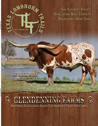 March 2016 Texas Longhorn Trails Magazine by Texas Longhorn Trails Magazine 