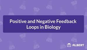 Positive And Negative Feedback Loops In Biology