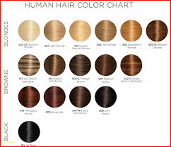 Majirel Hair Color Chart 149415 Hair Colour Chart Loreal