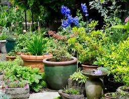 Jardin De Ville Conseils De Creation D Entretien Choix Des Vegetaux En 2020 Jardin De Ville Jardins Idees Jardin