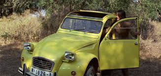Image result for Jaune Soleil 2011 Citroen