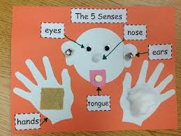 My Very Own Circus Senses Preschool 5 Senses Preschool Five Senses Preschool