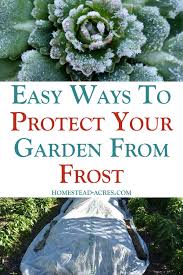 We did not find results for: How To Protect Your Vegetable Garden From Frost Homestead Acres