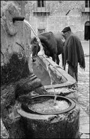 Black And White Throwback Heaveninawildflower Ferdinando Scianna Italy Sicily Alimena Vintage Photography Black And White Photography Sicily