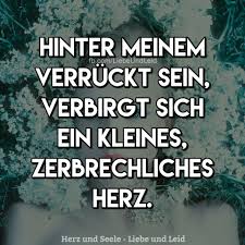 Hinter Meinem Verrückt Sein Janicka Lebensweisheiten Herz Und