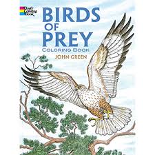 Cow coloring pages attention, all artists! Birds Of Prey Coloring Book John Green 9780486259895 Amazon Com Books