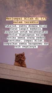 Pin Pada Gaya Rambut Cewe