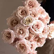 Maybe you would like to learn more about one of these? Beige Dusty Blush Quicksand Rose Flowers Diy Wedding Flowers Flower Moxie