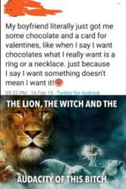 For the last part of the journey it was susan and lucy who saw most of him. The Lion The Witch And The Audacity Of This Bitch Know Your Meme