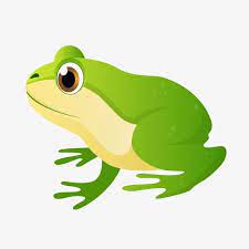 الأخضر الضفدع الكرتون عيون كبيرة الضفدع png و psd katak kartun menggambar katak