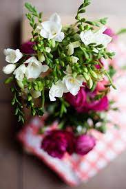 Pin On White Flowers