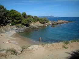 Paysages Du Littoral De La Cote D Azur Petite Plage Crique Pins Arbres Rochers Et Mer Mediterranee Paysage Littoral Paysage Photos Paysage