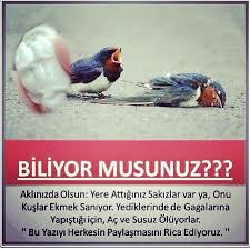 Yildirimozdemir Yildirimozdemir Instagram Photo Websta Interesting Information Instagram Photo Instagram