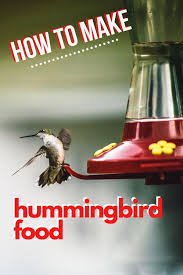 Therefore, it is not recommended for use in creating hummingbird food. How To Make Hummingbird Food Thrifty Jinxy