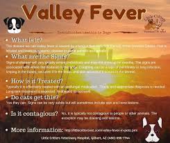Valley Fever In Dogs Valley Fever Small Animal Clinic Pet Clinic