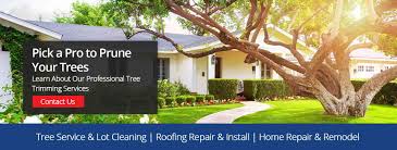 Cutting down a tree can be dangerous, so it is almost always recommended that you hire a properly trained and equipped professional whenever possible. Affordable Trees And Construction Albany Ga
