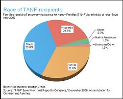 11 The Next Chart Shows The Breakdown Of Participants By